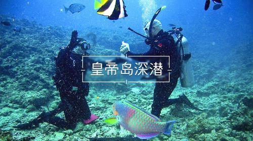 小马宝莉的新造型
